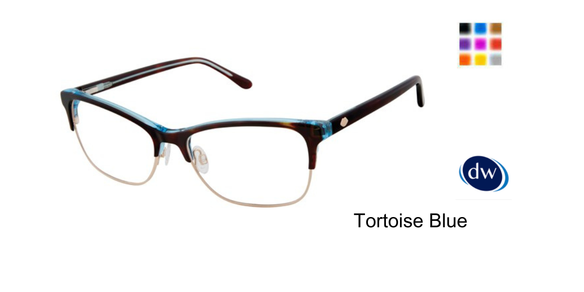 Tortoise Blue