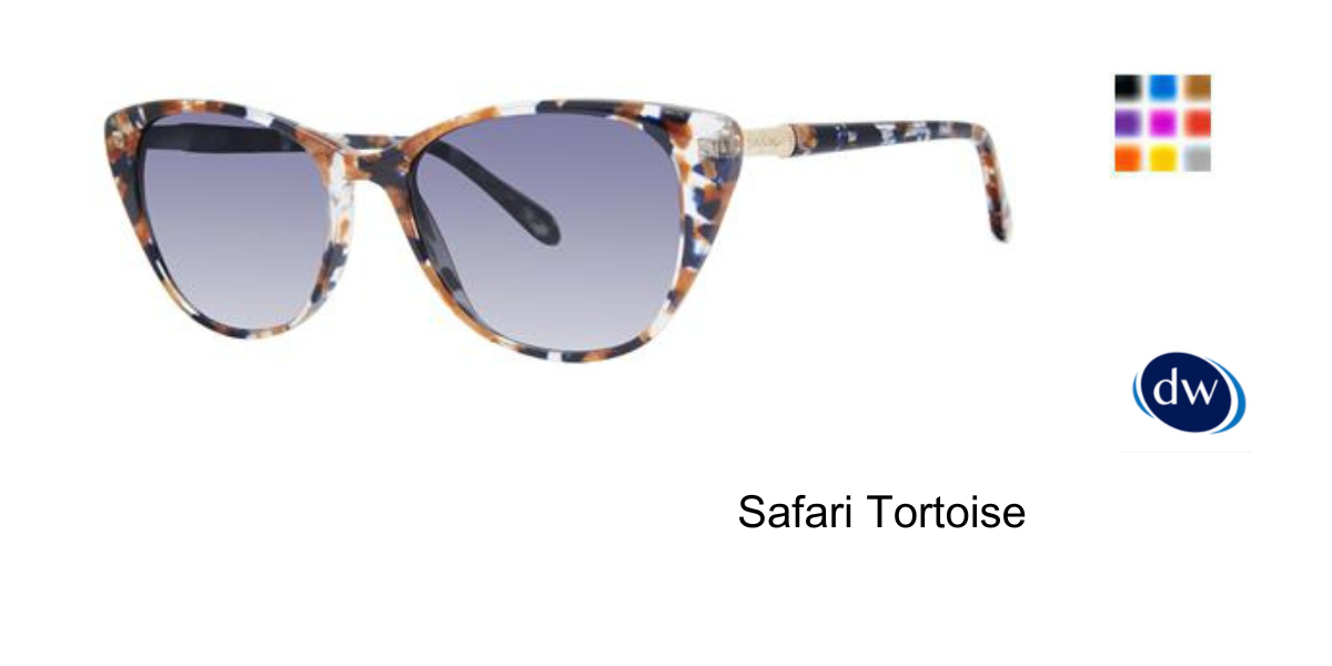 Safari Tortoise