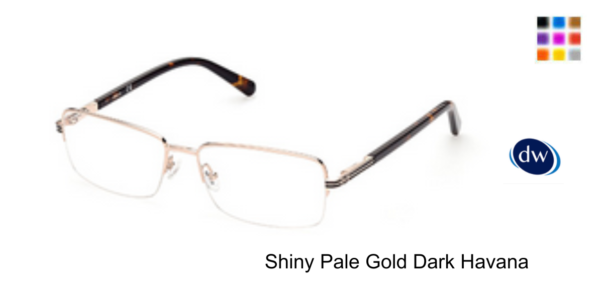 Shiny Pale Gold Dark Havana