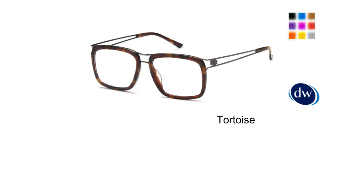 Tortoise