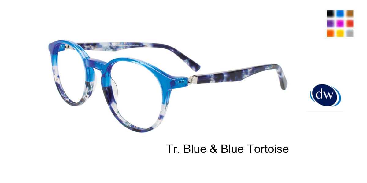 Tr. Blue Blue Tortoise