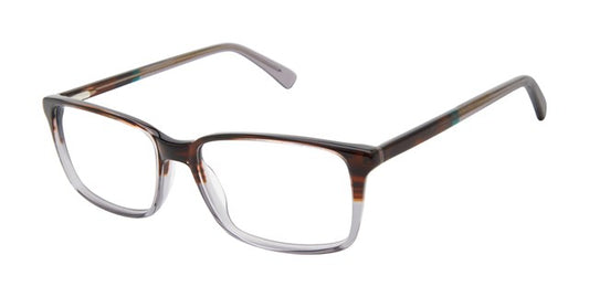 Tortoise/Grey - TOR