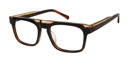 Black Tortoise           TM013