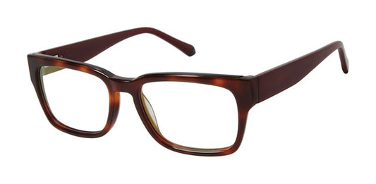 Havana Tortoise              K141