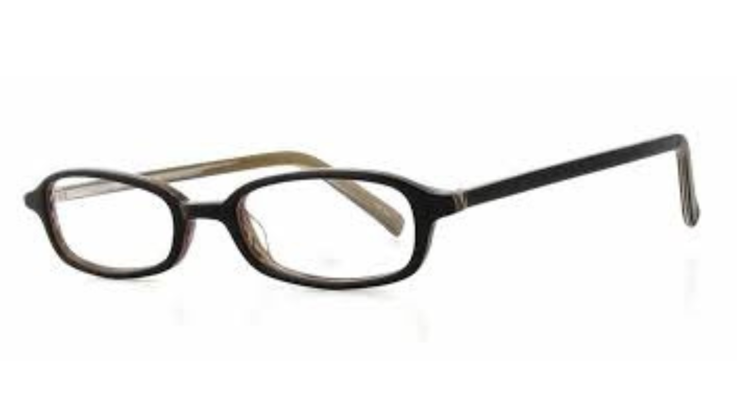 Vivid 739 Eyeglasses