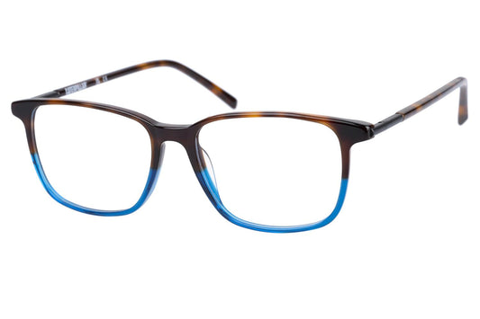 GLOSS TORTOISE/BLUE (102)