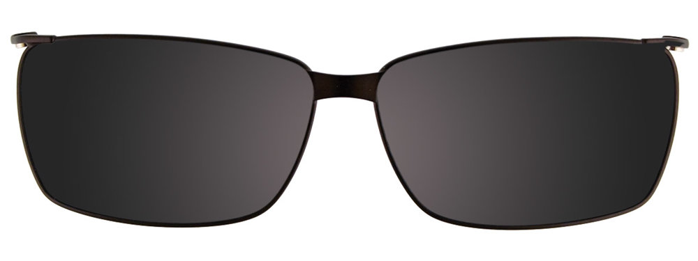 Tortoise Blue Clip On