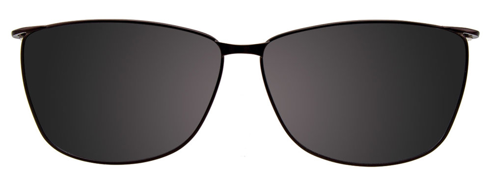 Purple Brown Clip On