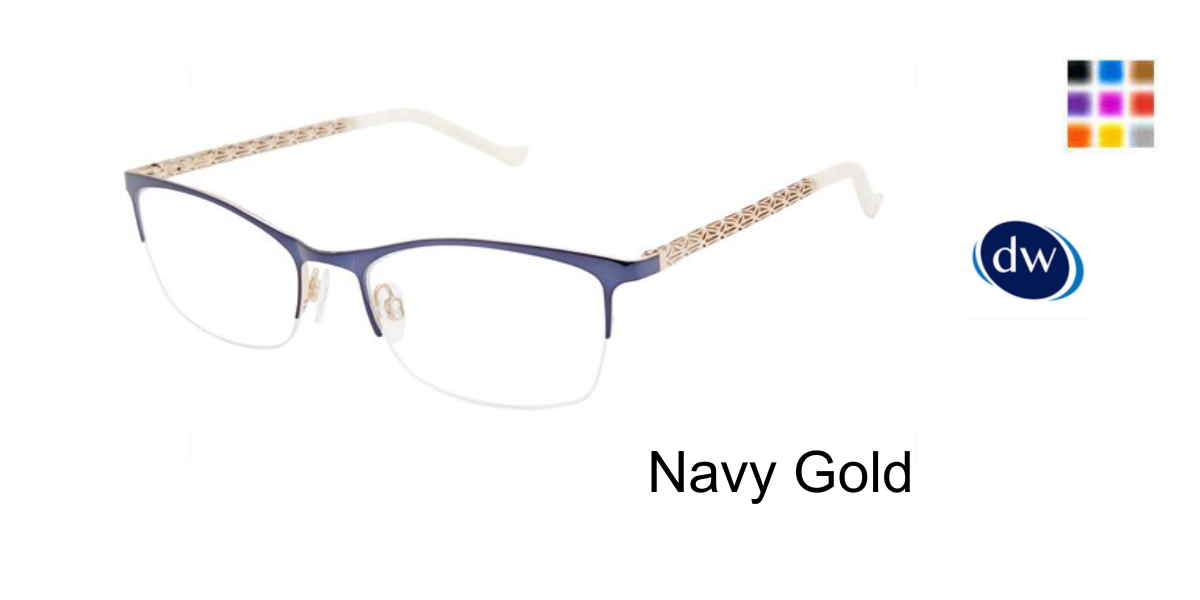 Navy/ Gold