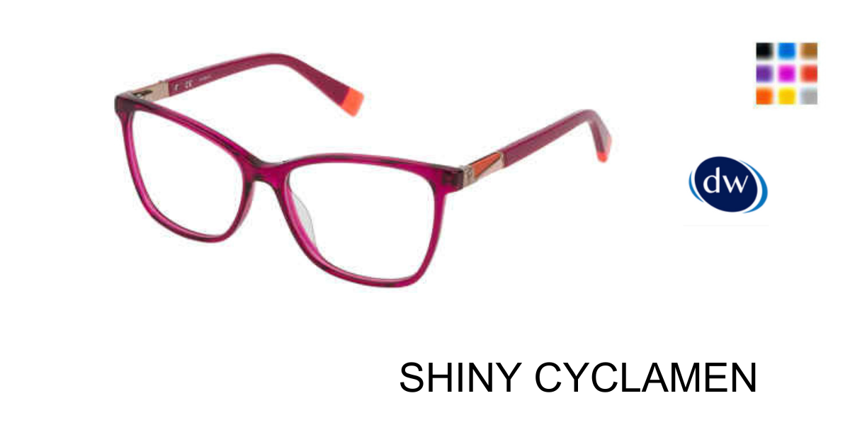 SHINY CYCLAMEN