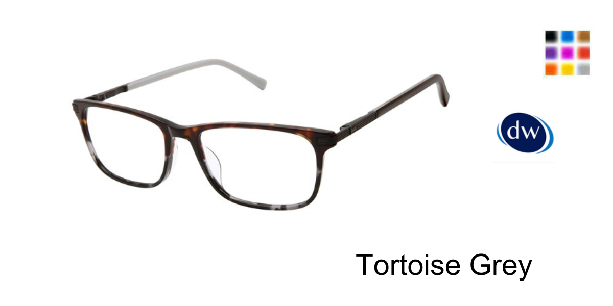 Tortoise Grey TFM017