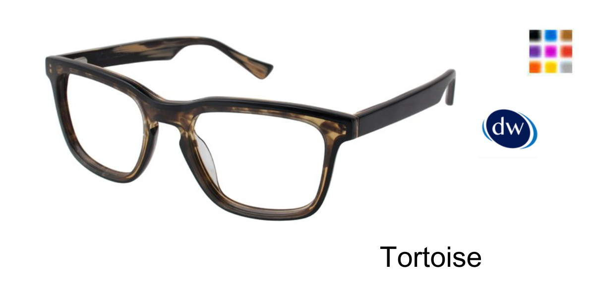 Tortoise B881