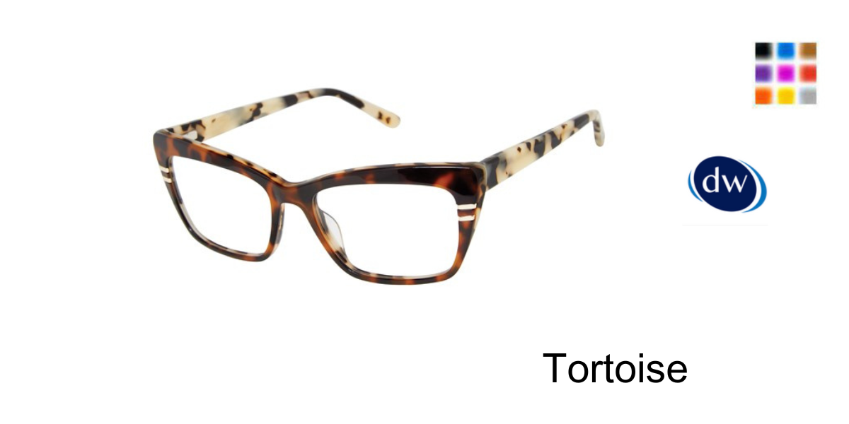 Tortoise LA076