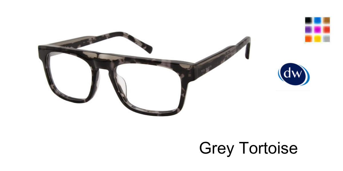 Grey Tortoise TM013