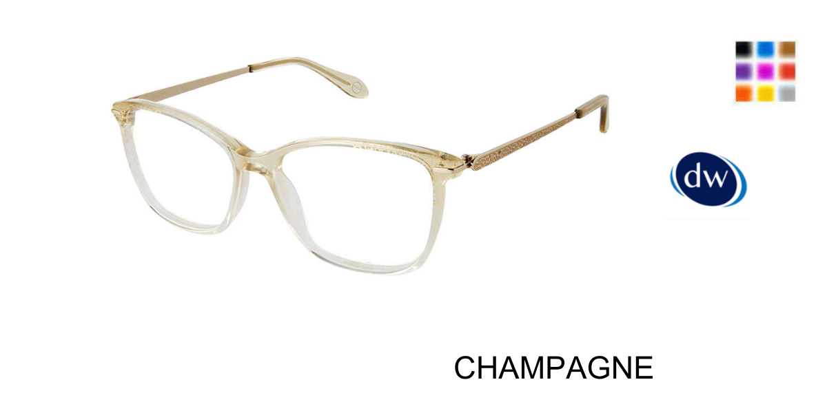 CHAMPAGNE F-3733