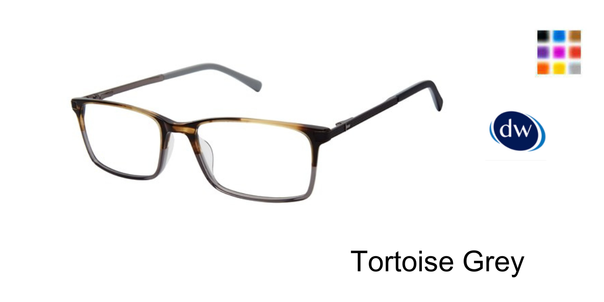 Tortoise Grey TFM016