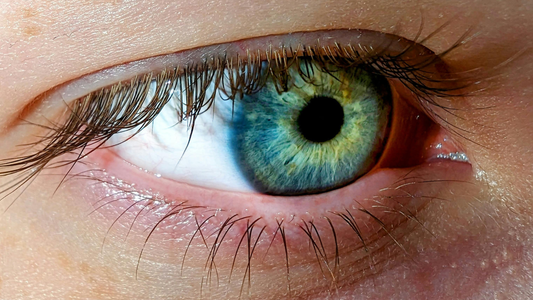 See Better, Live Better: A Complete Guide to Eye Care