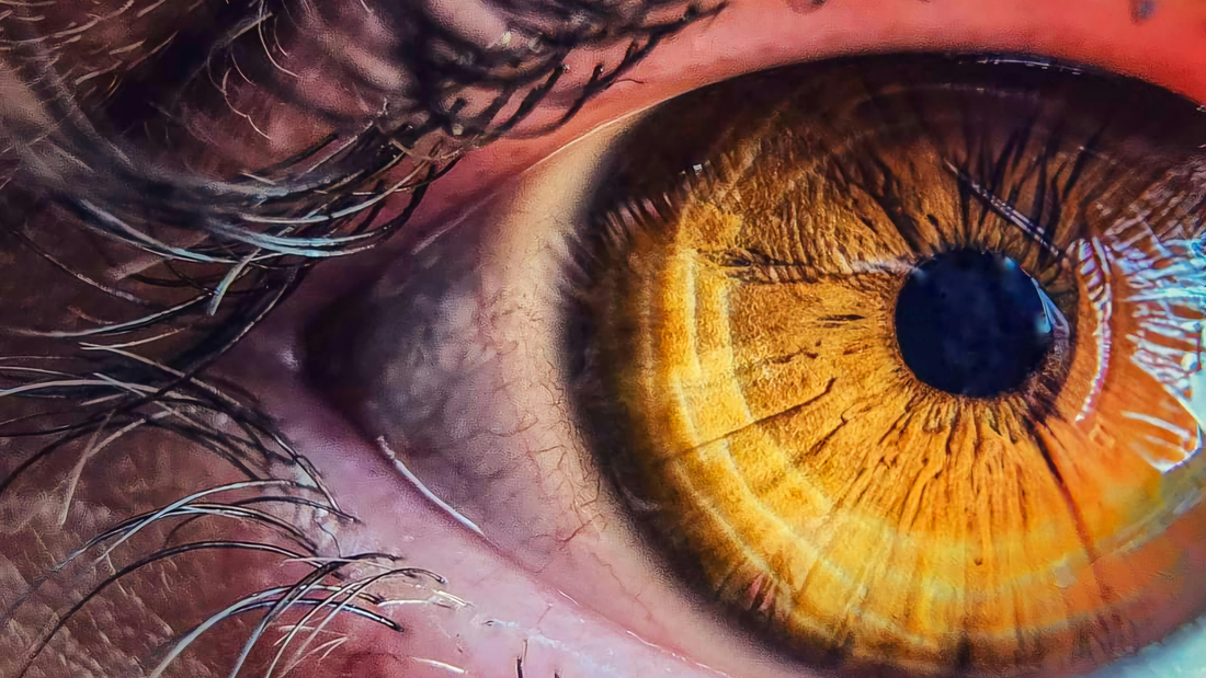 Born With It? What Genetics Really Mean for Your Eye Health