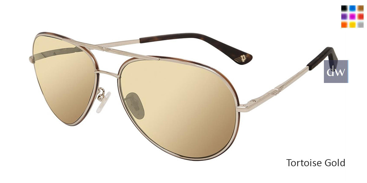 Tortoise Gold