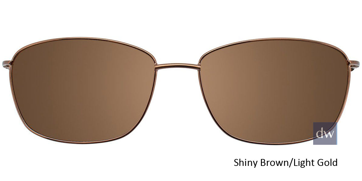 Shiny Brown Light Gold  Clip-On