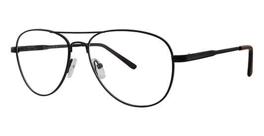 Black Tortoise