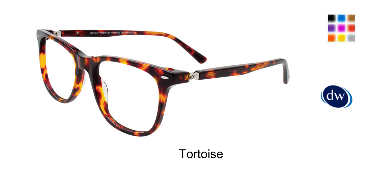 Tortoise