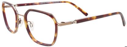 Brown Tortoise & Gold
