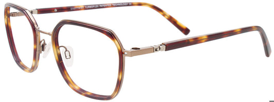 Brown Tortoise & Gold