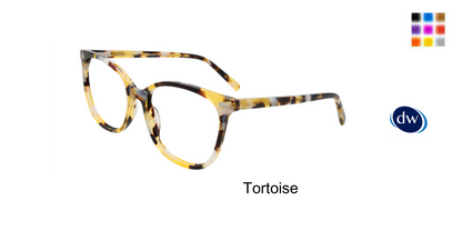 Tortoise