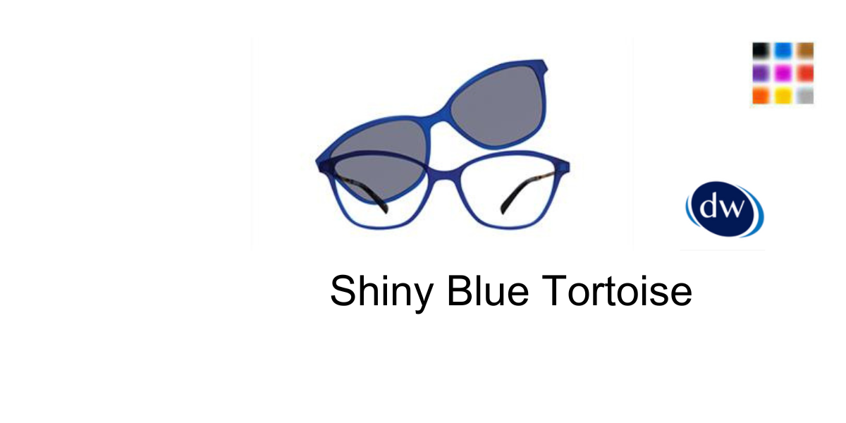 Shiny Blue Tortoise