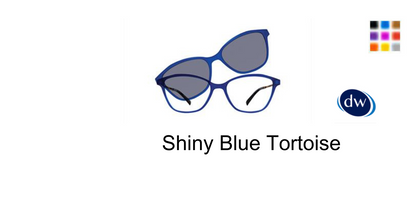 Shiny Blue Tortoise