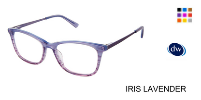 IRIS LAVENDER