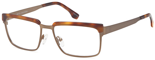 Brown Tortoise