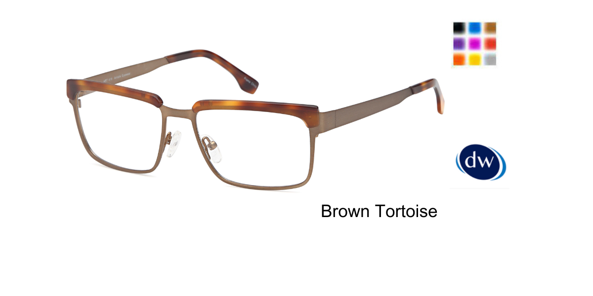 Brown Tortoise