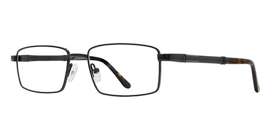Black Tortoise