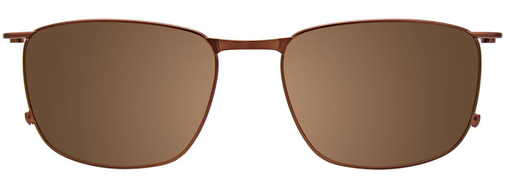 Brown Clip On