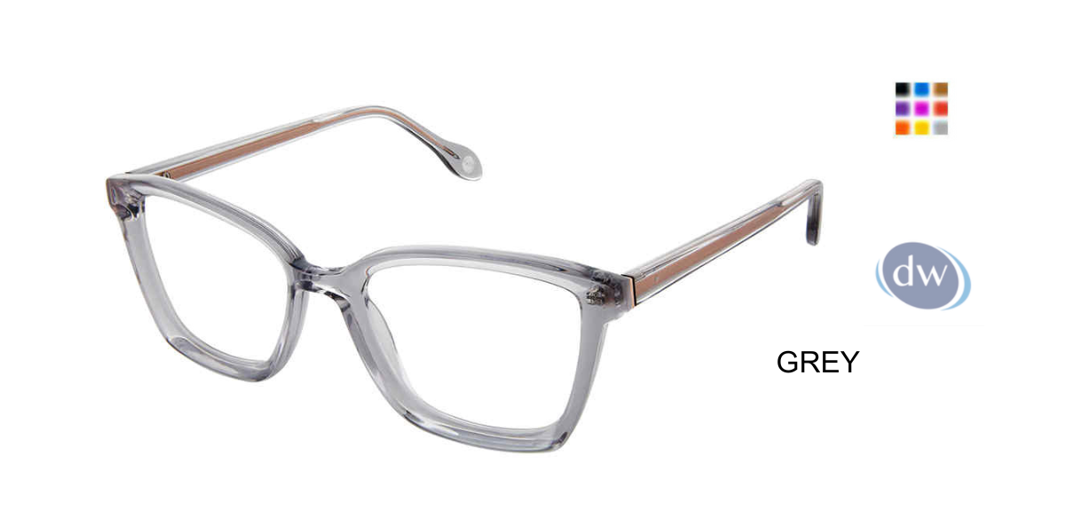 FYSH F-3708 Eyeglasses Grey