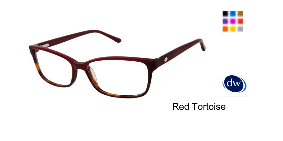 Red Tortoise