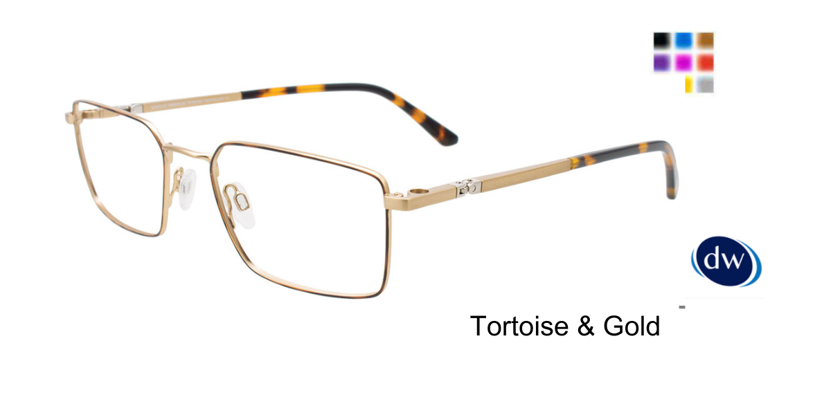 Tortoise Gold