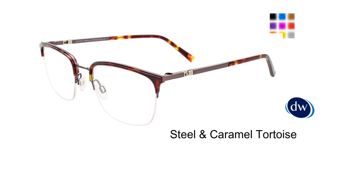 Steel & Caramel Tortoise