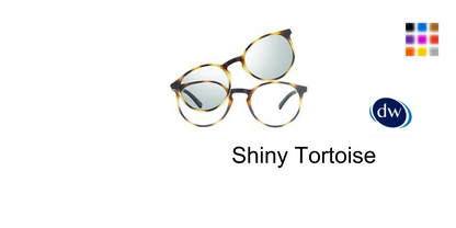Shiny Tortoise