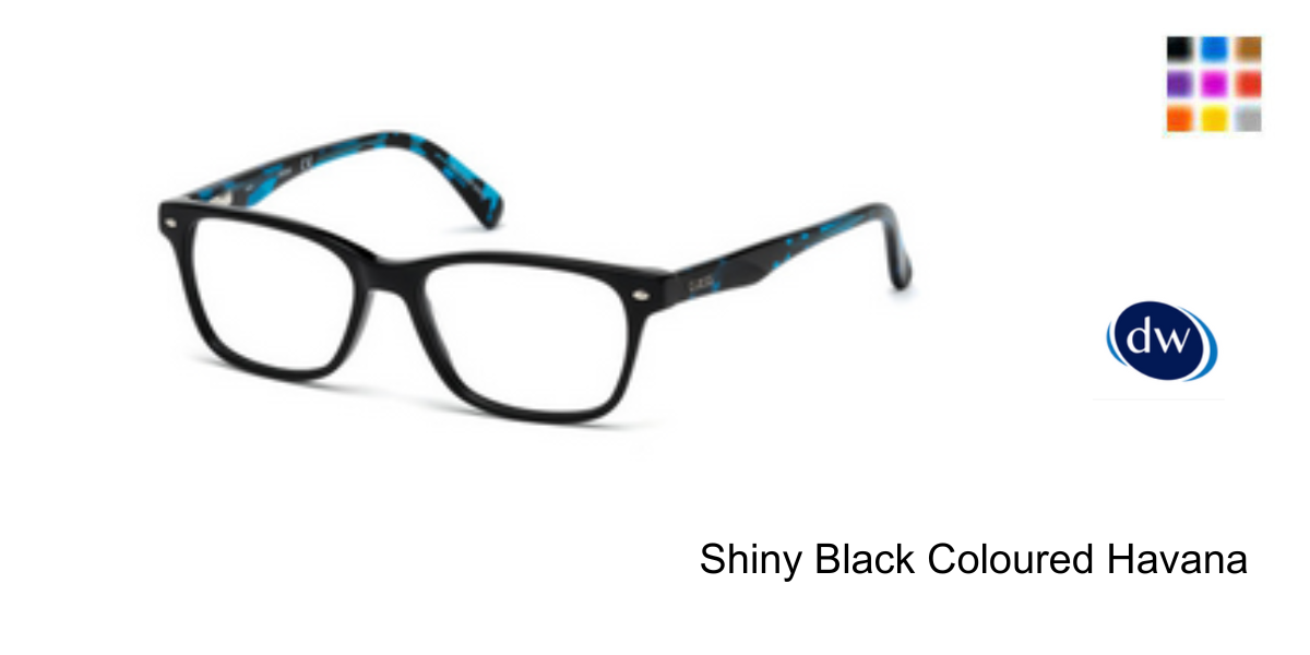 Shiny Black Coloured Havana