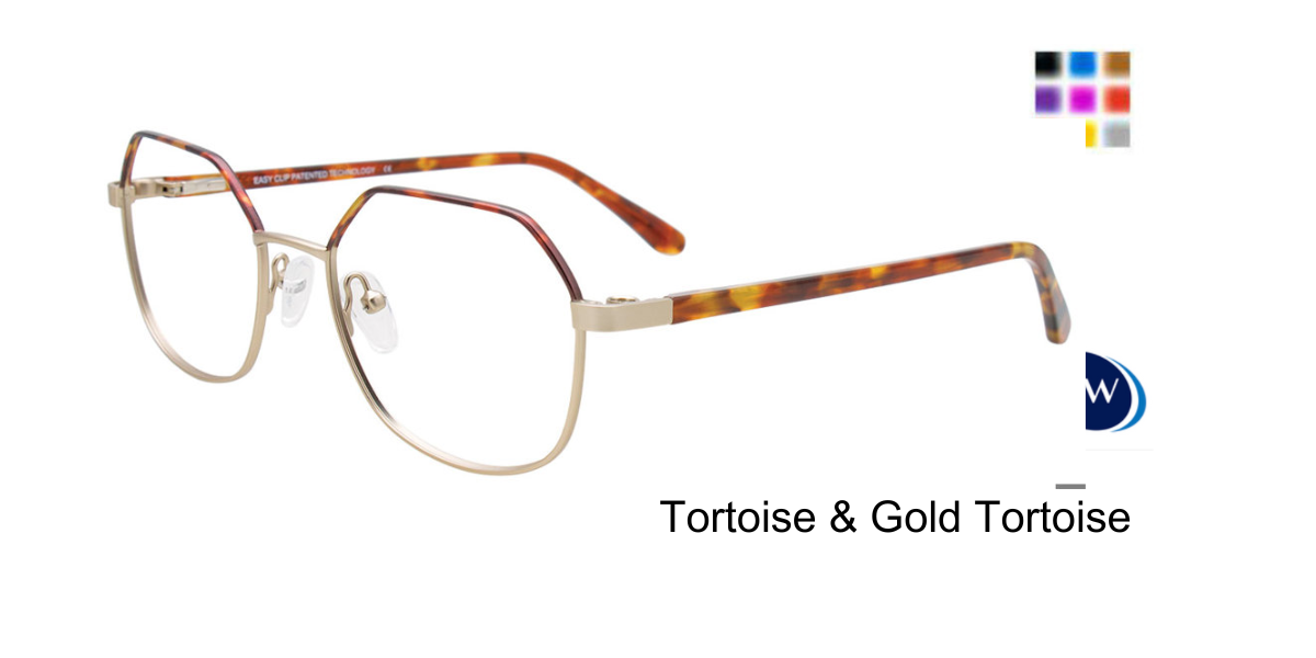 Tortoise Gold Tortoise