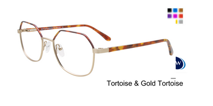 Tortoise Gold Tortoise