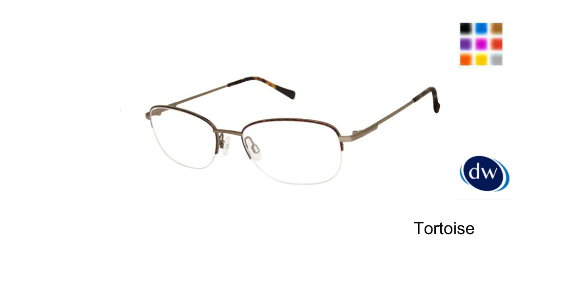 Tortoise