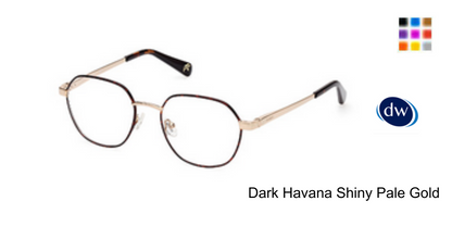 Dark Havana Shiny Pale Gold
