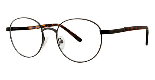 Black Tortoise
