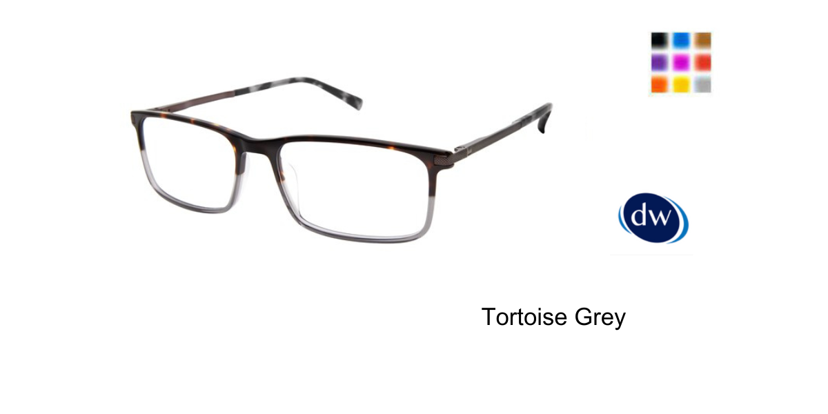 Tortoise Grey