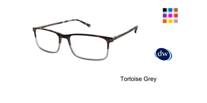 Tortoise Grey