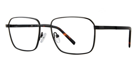 Black Tortoise